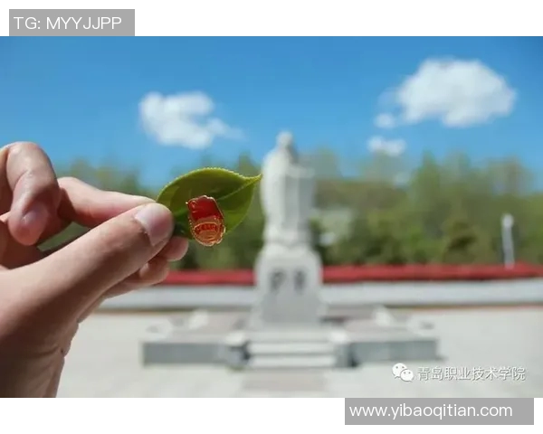 张立鹏的奋斗历程与成功秘诀揭示了新时代青年如何实现自我价值与梦想