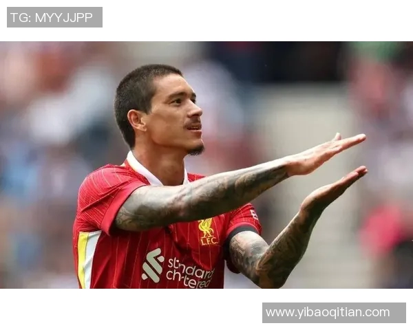 努涅斯在赛场上的崛起与挑战解析，如何成为足球界的新星