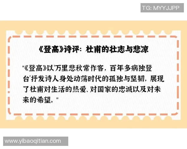努里：探索这位杰出人物的生平与成就，揭示其对时代的深远影响