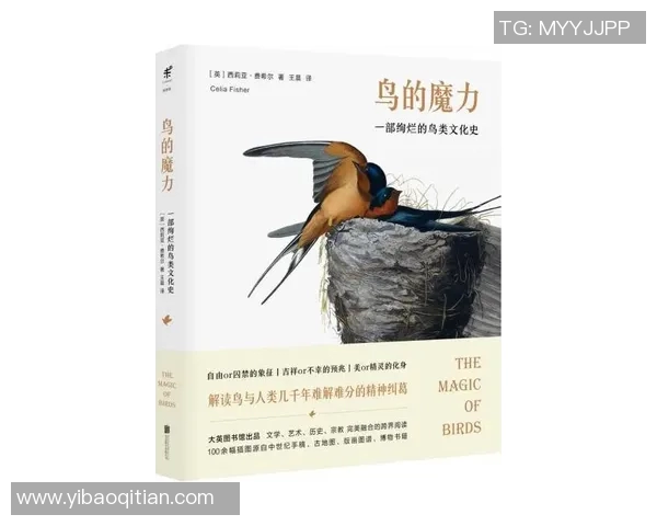 探索始祖鸟帽子的神秘魅力与历史传承之旅