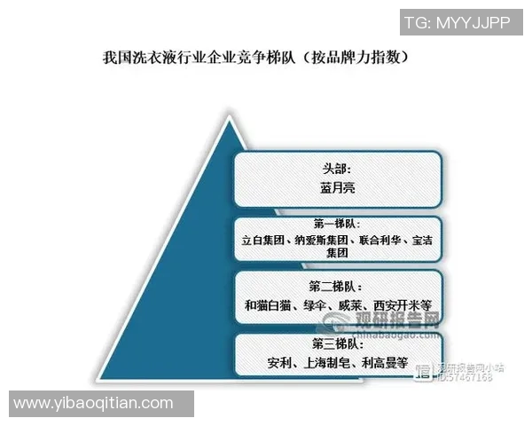 尤班克斯的崛起与未来发展潜力探讨及其在全球市场中的影响力分析 尤班克斯的崛起与未来发展潜力探讨及其在全球市场中的影响力分析