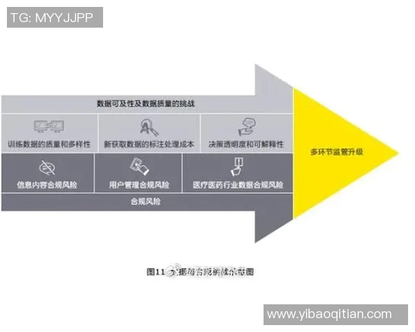 赖斯的外交策略与全球影响力分析：从历史到未来的深度探讨