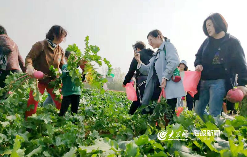 北京打造16个水果种植基地丰富市民餐桌
