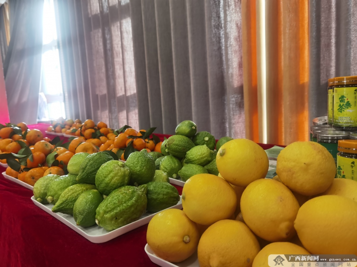 签约金额达475亿元！“桂字号”宜州区名特优水果产销对接活动在郑州市、嘉兴市举办(图3)