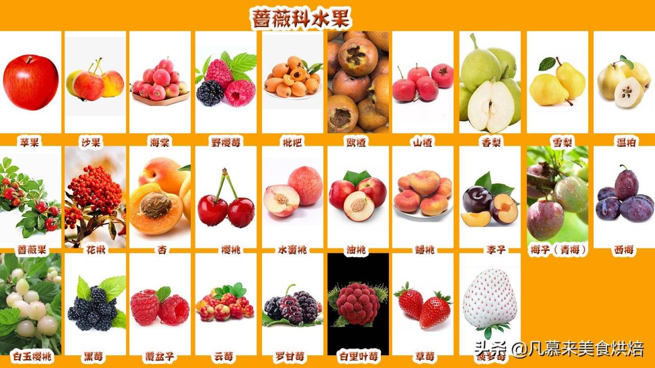 水果名称大全500种「42个科154种水果欣赏」(图2)