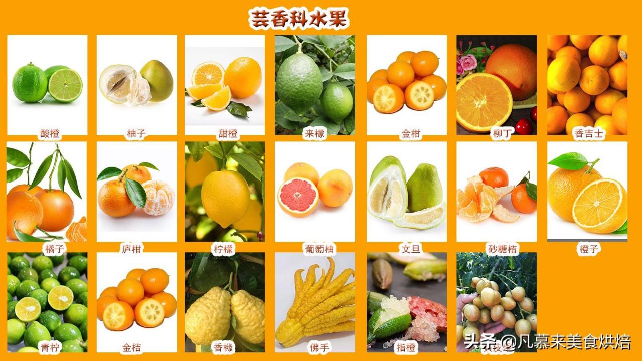 水果名称大全500种「42个科154种水果欣赏」(图3)