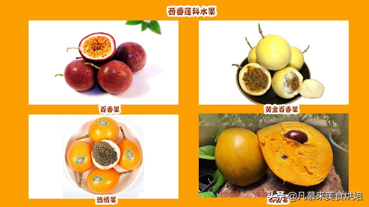水果名称大全500种「42个科154种水果欣赏」(图24)