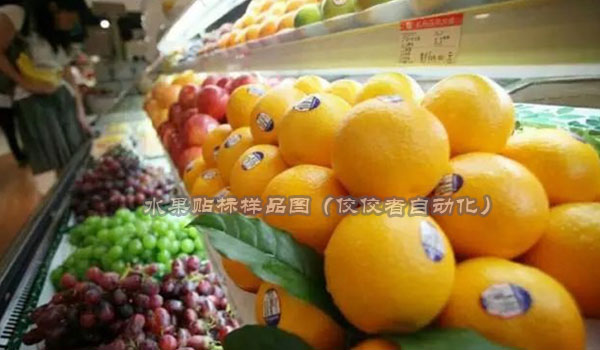 中国水果行业市场调查研究及发展前景规划报告