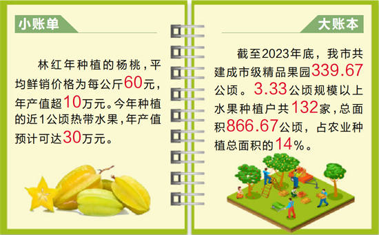 半岛彩票：果农创新种植让杨桃等热带水果在舟山安家(图2)