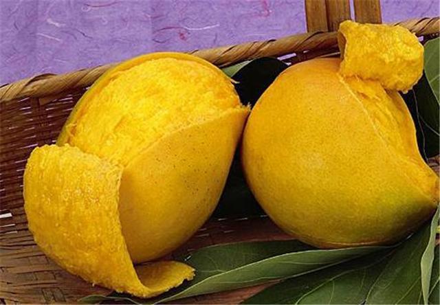 半岛彩票：世界上最贵的5种水果其中有一种在中国卖出555万元天价(图1)