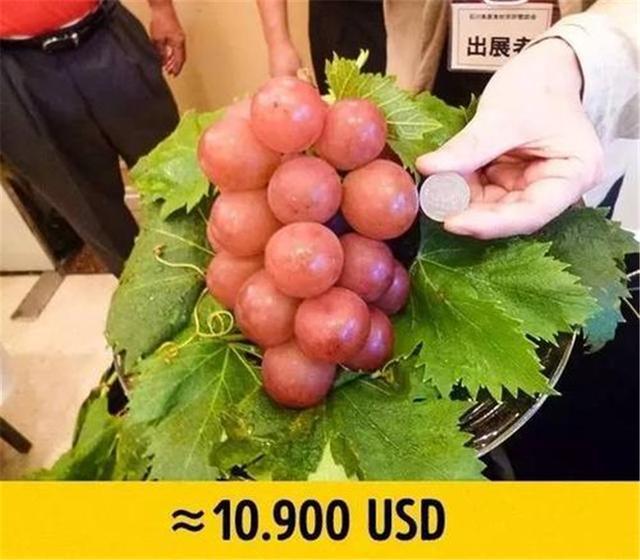 半岛彩票：世界上最贵的5种水果其中有一种在中国卖出555万元天价(图3)