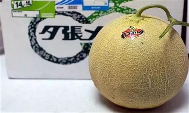 半岛彩票：世界上最贵的5种水果其中有一种在中国卖出555万元天价(图4)
