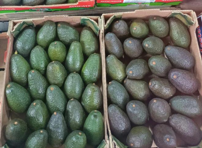 半岛彩票：过年水果哪里买？广州最大的水果市场你不来看看吗？(图4)
