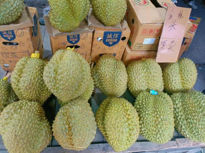 半岛彩票：过年水果哪里买？广州最大的水果市场你不来看看吗？(图5)
