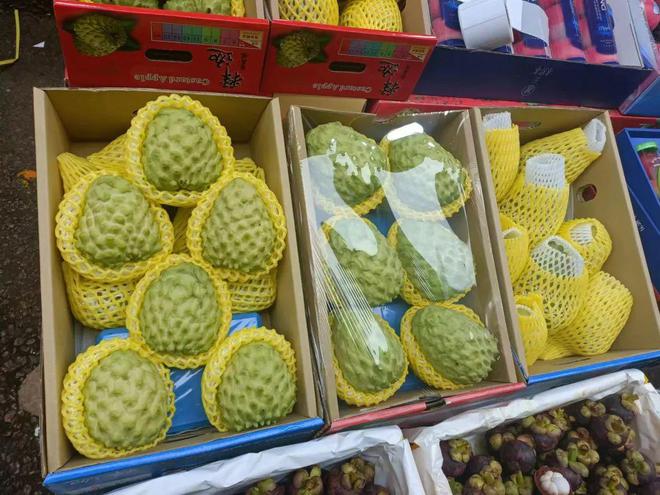 半岛彩票：过年水果哪里买？广州最大的水果市场你不来看看吗？(图6)